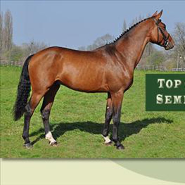 Top Gun de Sémilly