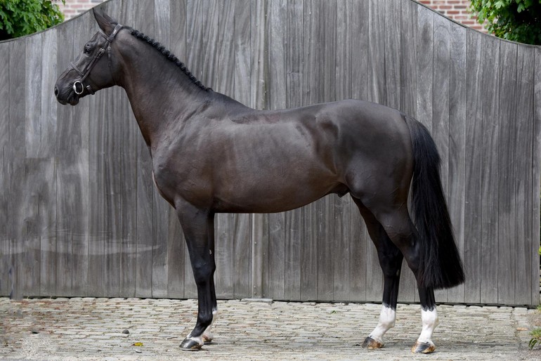 ROB ROY VD  BISSCHOP