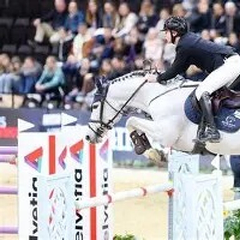 PICOBELLO VAN'T ROOSAKKER